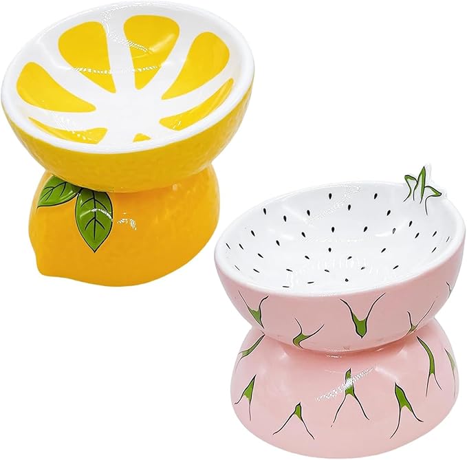 Hamiledyi Ceramic Raised Cat Bowl Anti Vomiting Elevated Tilted Cat Food & Water Bowls 2PCS Pet Feeder Dish for Indoor Kitty and Small Dogs(Lemons & Pitaya)