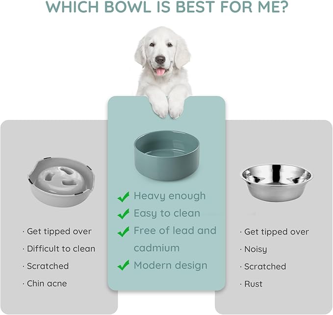 SPUNKYJUNKY 13.5OZ Ceramic Dog and Cat Bowl, Modern Cute Weighted Food Water Bowl for Replacement Light Green (2 Pack)