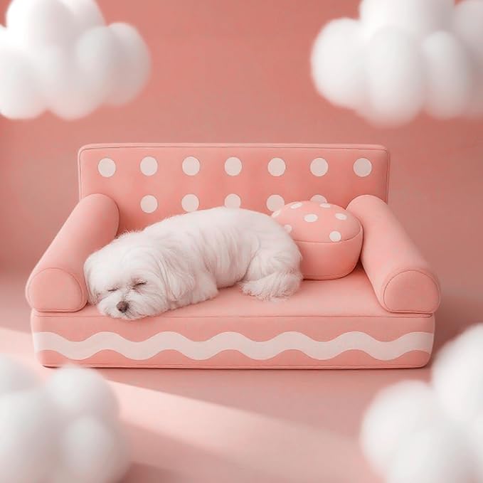 Cat Couch with Soft Pillow, Supportive Dog Couch, Cat Sofa with Removable Cover，Cute Cookies Shaped, 24 Inch