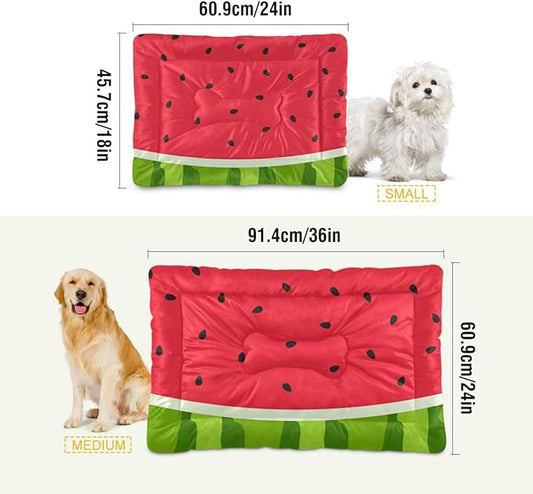 Watermelon Fruits Pet Bed Cute Dog Bed Mat Absorbing Non Slip Pad Pet Sleeping Mat for Small, Medium, and Large Dogs Puppy Cat 24 in x 18 in