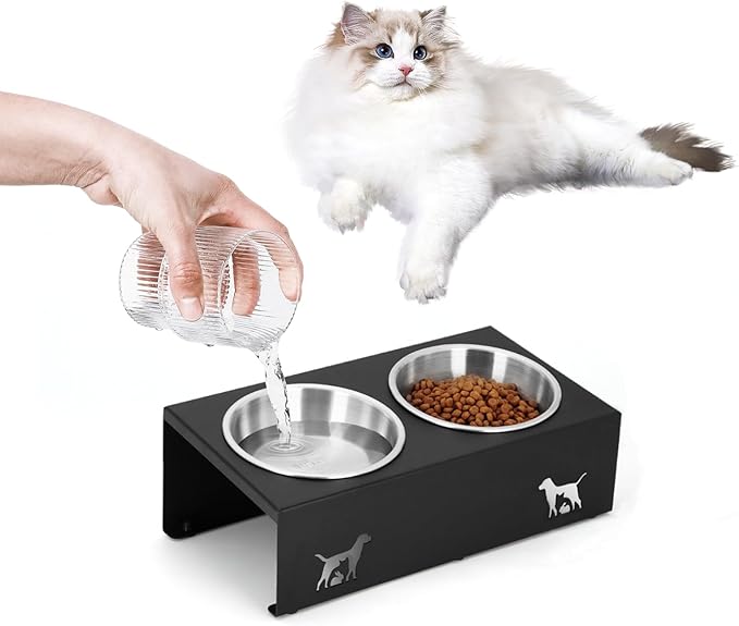 Elevated Cat Food Bowl,15°Tilted Stand Anti Vomiting Raised Cat Dishes for Food and Water,2 Stainless Steel Bowls,Non-Slip No Spill,Cats and Puppy