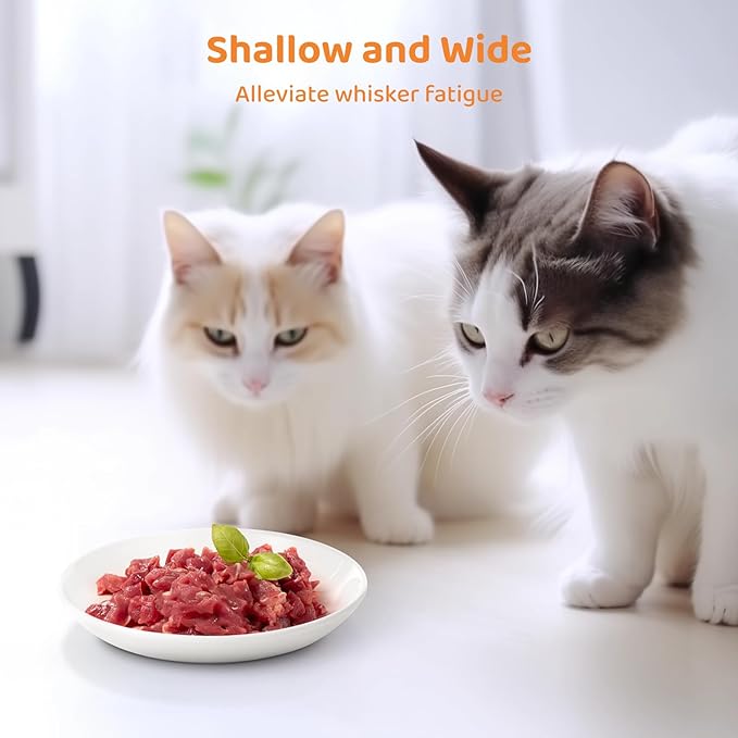 Ceramic Cat Food Plates: Cat Wet Food Bowls/Whisker Fatigue Cat Dishes & Shallow Bowls for Kittens and Small Animals