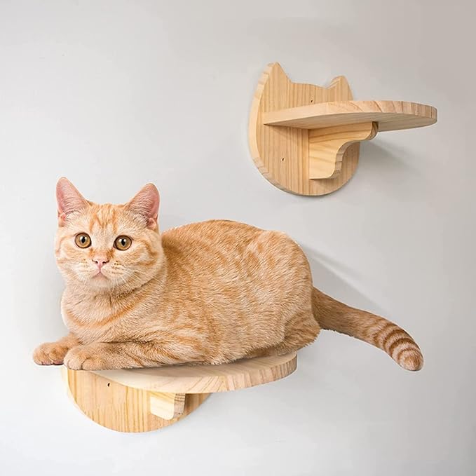 SHENGOCASE 6.7" x 7.5" Solid Wood Wall Mounted Cat Steps, Cat Wall Furniture Shelves Stairs Perch