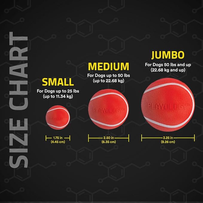 Playology Dog Toys | Squeaky Chew Ball - Squeaky and Bouncy Durable Floating Fetch Ball for Dogs (Value 2-Pack) | Medium Beef Scented Toy - Easy to Clean and Made from Non Toxic Materials