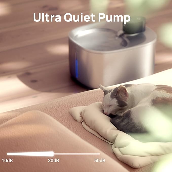 iPettie Runway Stainless Steel Cat Water Fountain, 1.1 Gal/4.0L Large Capacity, 5-Stage Water Filter