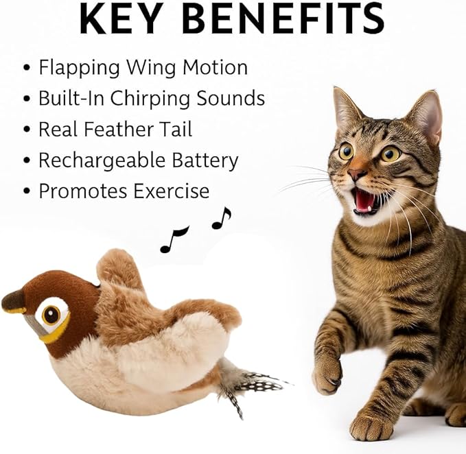 Toys Rechargeable Flapping Bird Sparrow, Lifelike Chirp Tweet, Touch Activated Kitten Toy Interactive Cat Exercise Toys for All Breeds Cat Kicker Catnip Toys (White Faced Sparrow)