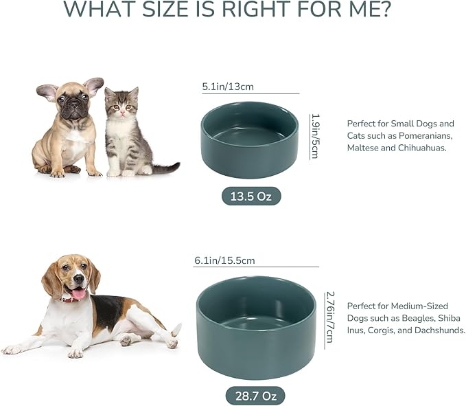 SPUNKYJUNKY 13.5OZ Ceramic Dog and Cat Bowl, Modern Cute Weighted Food Water Bowl for Replacement Light Green (1 Pack)
