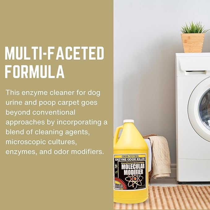 Pro's Choice Enzymatic Cleaner Molecular Modifier - Enzyme Stain Remover & Strong Odor Eliminator for Home - Enzyme Cleaner & Odor Eliminator for Stains - Pet Deodorizer Odor Eliminator (1 Gallon)