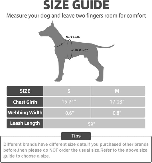 PUPTECK No Pull Dog Harness Soft Adjustable Basic Nylon Step in Puppy Vest Outdoor Walking with Leash