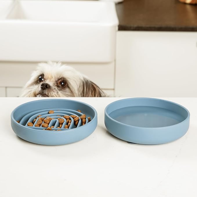 The Slowdown Bowl Silicone Slow Feeder for Cats & Dogs, Slow Eating Mealtime Solution with Modern Lick Mat Design, Reduces Gulping, Fits 1 Cup 6” Across x 1.25” Tall, Small-Sage