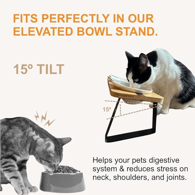 Replacement Ceramic Bowls, Dishwasher Safe Bowl for Cats and Puppy (Pack of 2)