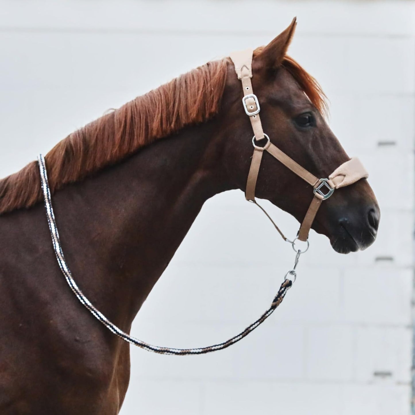 HORZE Kiel Adjustable Horse Halter with Fleece Padding - Tan - Pony