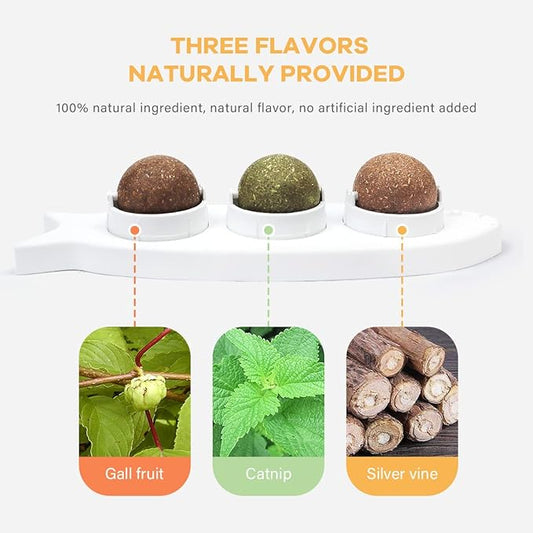 Magic Catnip Wall Balls Toys for Cats - Kitten Treat Toys Indoor - Teeth Cleaning Chew Silvervine Balls