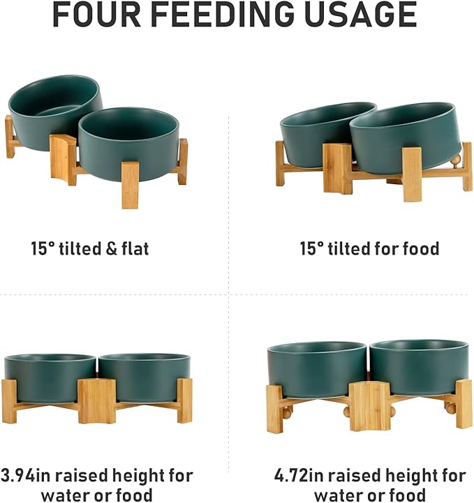 SPUNKYJUNKY 15° Slanted Ceramic Dog and Cat Bowl with Wooden Stand, Tilted Bulldog Food and Water Bowl No Slip Non-Spill for Cats Medium Dogs Big Face Pets 28.7 OZ (3.6 Cups, Green × 2)