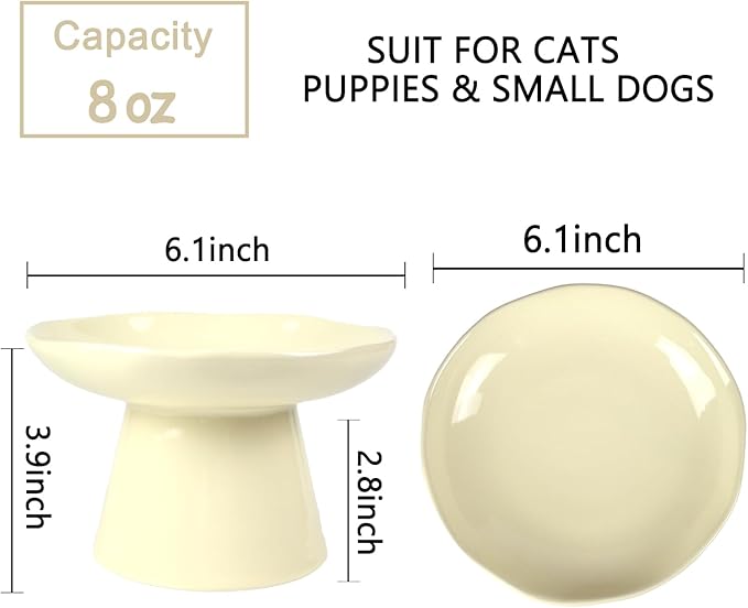 Wide Shallow 6.1" Raised Cat Bowls, Ceramic Elevated Food Plate for Flat Faced Cats and Small Dogs, Porcelain Feeder Bowl, Stress Free, Protect Cat’s Spine, Cream