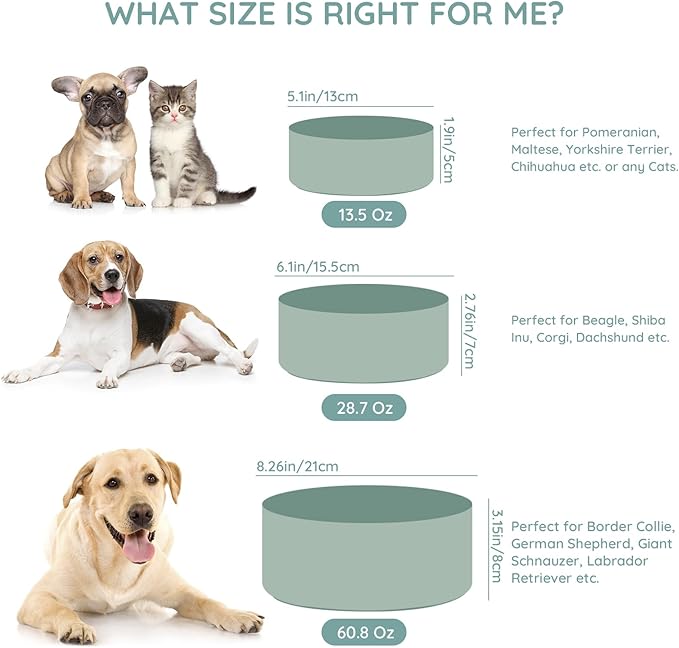 SPUNKYJUNKY 60 OZ Ceramic Dog and Cat Bowl, Modern Cute Weighted Food Water Bowl for Replacement Morandi Green (1 Pack)