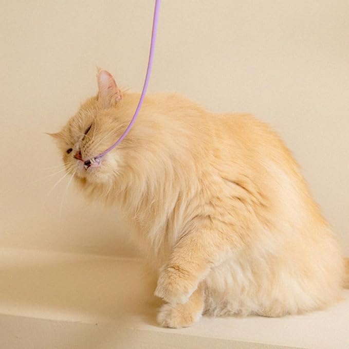 Catch Me If You Can! Silicone Cat Toy Teaser Wand – Durable, Easy-to-Clean Interactive Toy for Active Cats, Safe with Natural Predator Mimicking Movements
