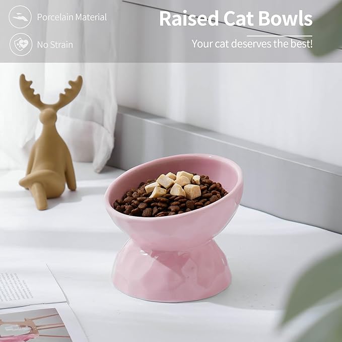 OMAYKEY Ceramic Raised Cat Bowls, Tilted Elevated Cat Food and Water Bowls, Pet Bowl Dish for Cats and Small Dogs, Pink, Set of 2