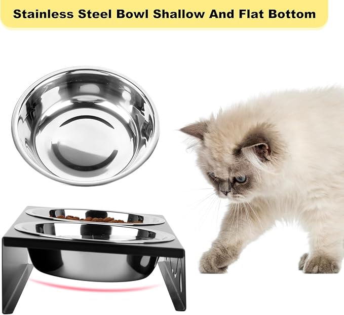 2 Pack Cat Food Bowls - Indoor Set with Metal Stand,5° Tilted Anti Vomiting Wide Raised Pet Dish,Cute Elevated Cat Feeding Station for Food Water, 4 Stainless Steel Bowls for Multiple Kitten,Puppy