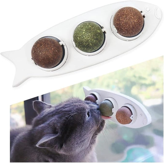 Magic Catnip Wall Balls Toys for Cats - Kitten Treat Toys Indoor - Teeth Cleaning Chew Silvervine Balls