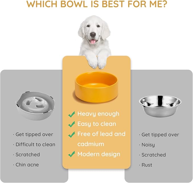 SPUNKYJUNKY 13.5OZ Ceramic Dog and Cat Bowl, Modern Cute Weighted Food Water Bowl for Replacement Yellow (1 Pack)