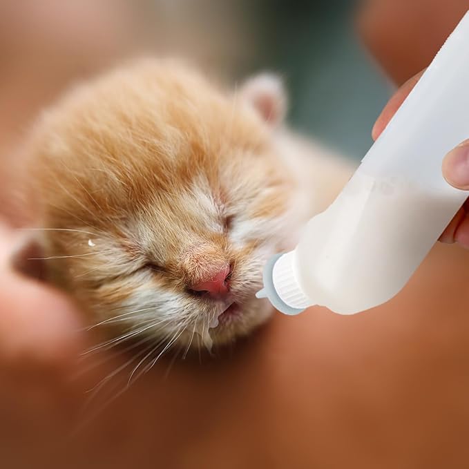 5Pack Kitten Bottle for Nursing Puppy Milk Kitten Bottles Feeding Kit Silicone Nipple for Newborn Pets Kittens, Puppy,Squirrel (Grey)