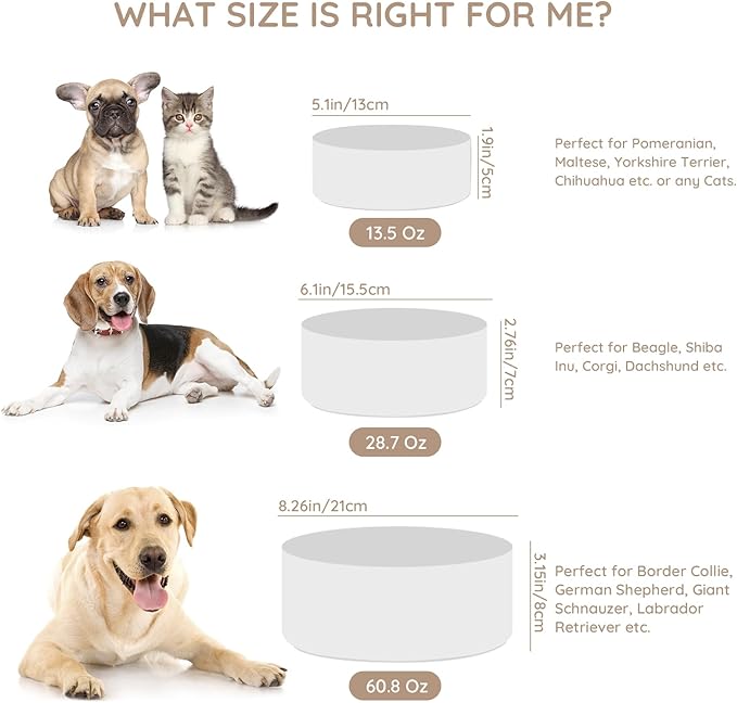 SPUNKYJUNKY 13.5OZ Ceramic Dog and Cat Bowl, Modern Cute Weighted Food Water Bowl for Replacement White (1 Pack)