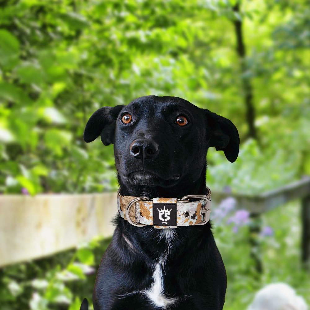 TSPRO Tactical Dog Collar 1.25 Inch Wide Thick Dog Collars with Heavy Duty Metal Buckle, Durable, Strong, Adjustable for Small Dogs (Camo Khaki S)