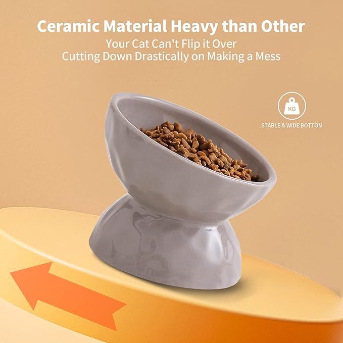 OMAYKEY Ceramic Raised Cat Bowls, Tilted Elevated Cat Food and Water Bowl Set, Porcelain Stress Free Pet Feeder Dish for Cats and Small Dogs, Dishwasher and Microwave Safe, White & Grey, Set of 2