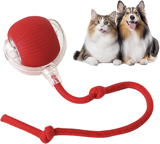 Interactive Dog & Cat Electric Active Toys - Smart Rolling Ball for Dogs & Cats, Rechargeable (Red)