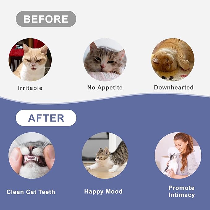 SILVERVINE Magic Cat Toy Wand with Fish – Interactive Cat Toys for Indoor Cats, Kittens & Bored Adults | Adjustable Fishing Pole Teaser with Feathers（Random Selection of 1 Out of 2）