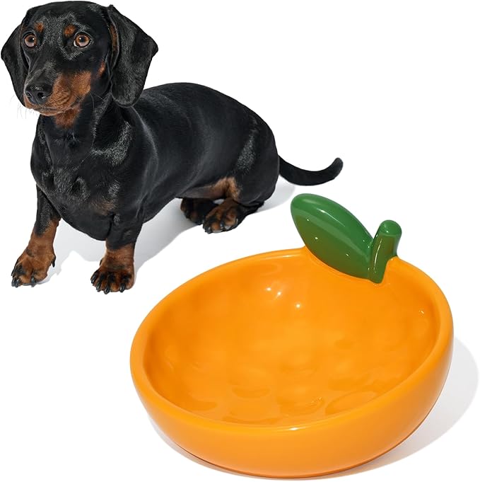VETRESKA Ceramic Pet Bowl Tilted Design Pet Feeder for Food and Water Anti Vomit Cat Bowls for Indoor Cats Cute Tangerine Cat Bowl Dishwasher Safe