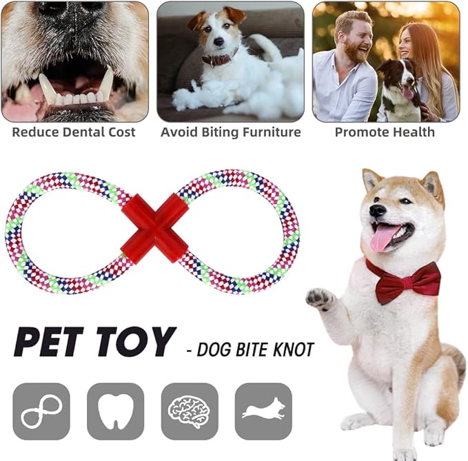 Dog Steps&Stairs for High Beds 24.4 inches High Up to 24-28 inches Bed, Tall Extra Wide Pet Stairs/Steps for High Bedsides,Non-Slip Dog Ramps for Small Older Dogs/Cats(Grey)