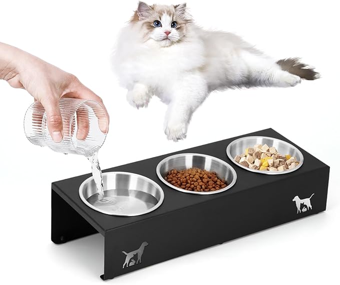 Elevated Cat Food Bowl,15°Tilted Stand Anti Vomiting Raised Cat Dishes for Food and Water,3 Stainless Steel Bowls,Non-Slip No Spill,Cats and Puppy