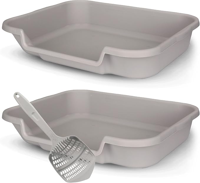 KittyGoHere Senior Cat Litter Box 2 Pack, Large Misty Gray Low Entrance Kitty Litter Box, Sized for Cats Comfort, Perfect for Senior and Arthritic Cats, Made in USA – Includes Long-Handle Jumbo Scoop