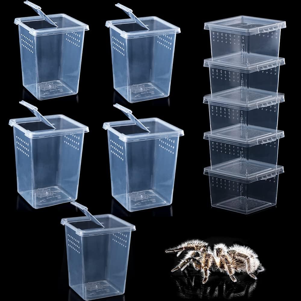 10 Pack Spider Terrariums Breeding Box Small Reptile Hatching Container Acrylic Feeding Box for Arboreal Spider Tarantula Mantis Scorpion Centipede Insect (5 High+5 Small)