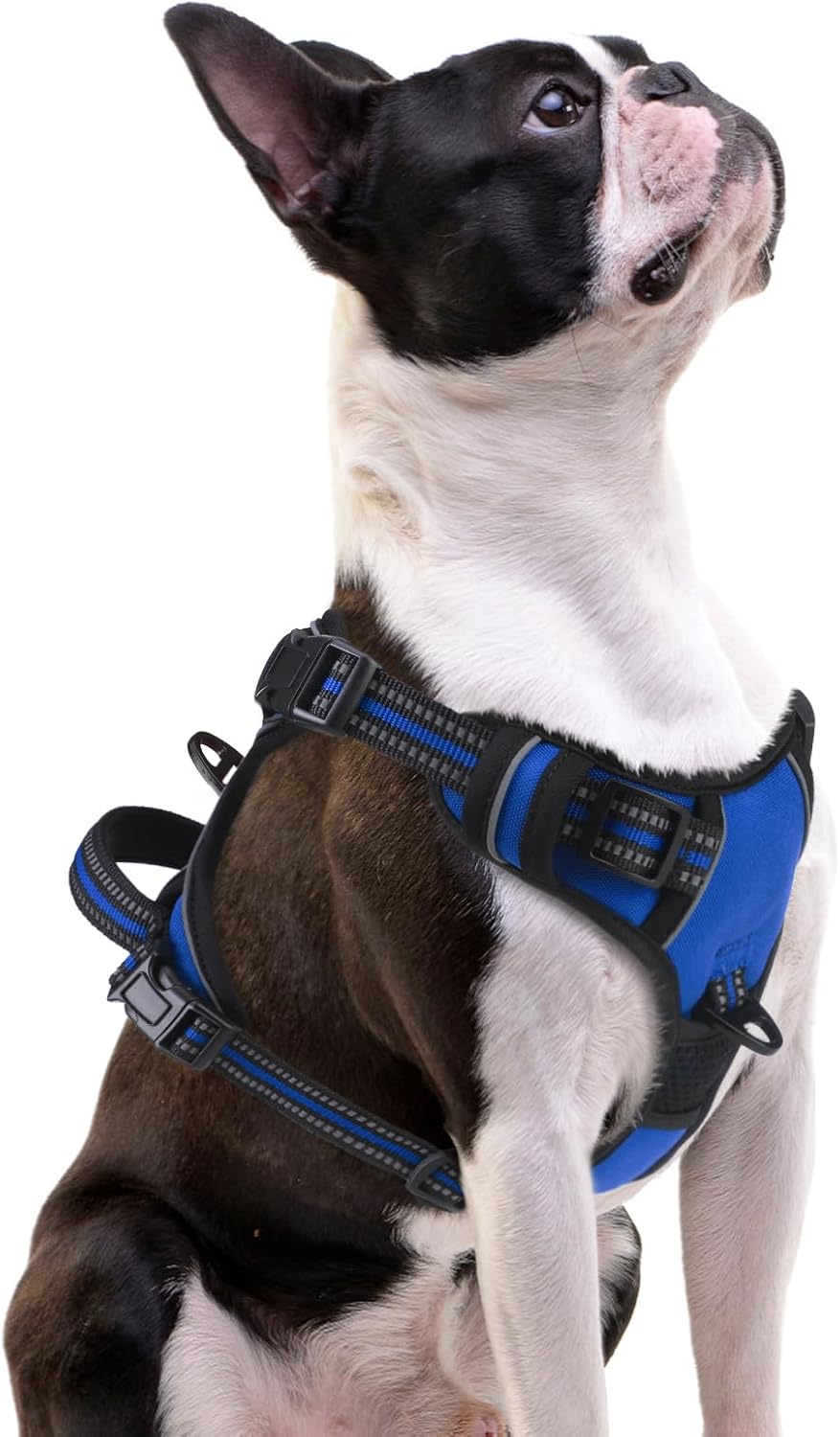 PUPTECK No Pull Dog Harness Small Sized, Adjustable Reflective Dog Harness with Handle Easy Control, Comfortable Soft Padded Pet Vest Harness for Small Dogs, Blue S
