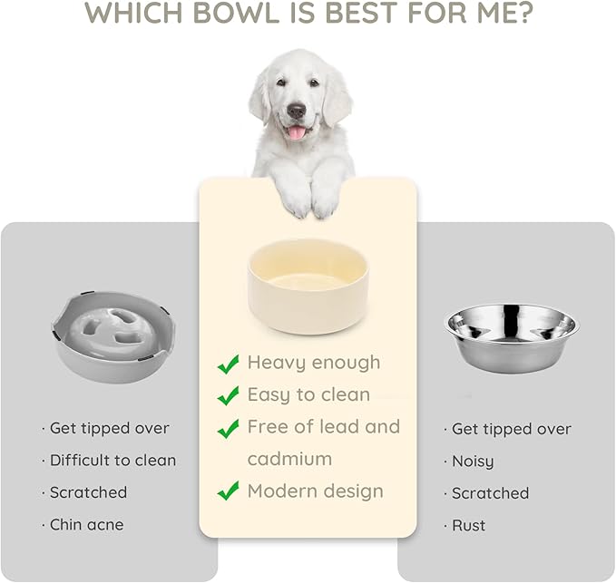 SPUNKYJUNKY 60 OZ Ceramic Dog and Cat Bowl, Modern Cute Weighted Food Water Bowl for Replacement Beige (1 Pack)