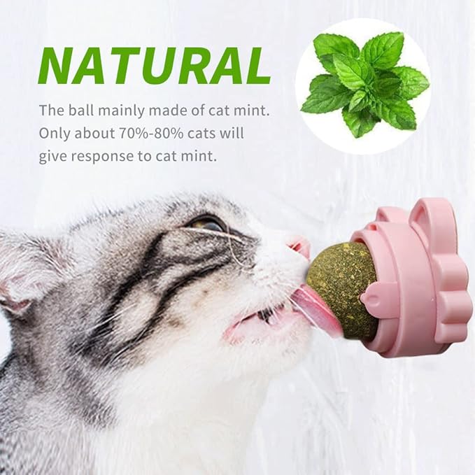 Oncpcare 3 Pack Rotatable Edible Catnip Balls for Cats Wall Cat Mints Ball Toys for Indoor Cats Cat Removal Hairball Toys Catnip Balls Treats for Kitten Kitty Playing Chewing