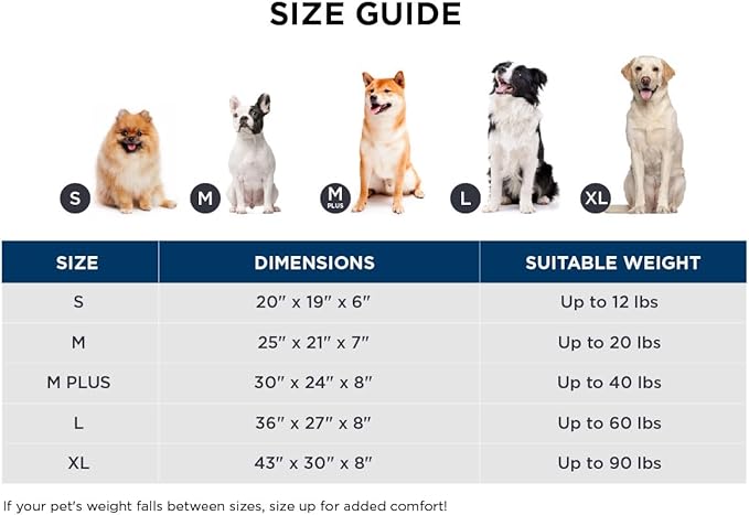 Bedsure Cute Dog Bed Medium Size Dog - Washable Furry Puppy Beds, Rectangle Orthopedic Corduroy Fleece Pet Beds with Removable Zipper Cover, 30x24x8inches, Cream