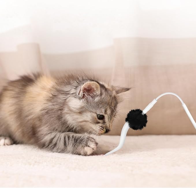 6 Pcs Feather Replacement Cat Toys for CT01 cat Toy Feather Accessories for Indoor Refills kittenToy Accessories