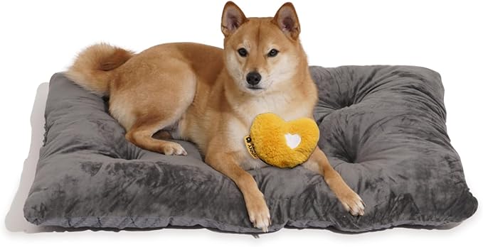 FUNNY FUZZY Washable Dog Bed,Reversible Plush Dog Crate Mat, Soft Fluffy Kennel Pad,Pet Sleeping Mattress for Large,Medium Sized Dogs Breeds,Indoor Cats,35.4" × 22.8", L,Charcoal Grey