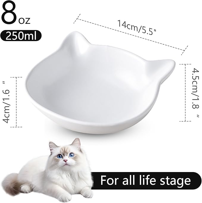 Ceramic Shallow Cat Food Bowls,Whisker Friendly Small Cat Dishes for Indoor Cats Kitten Set of 2