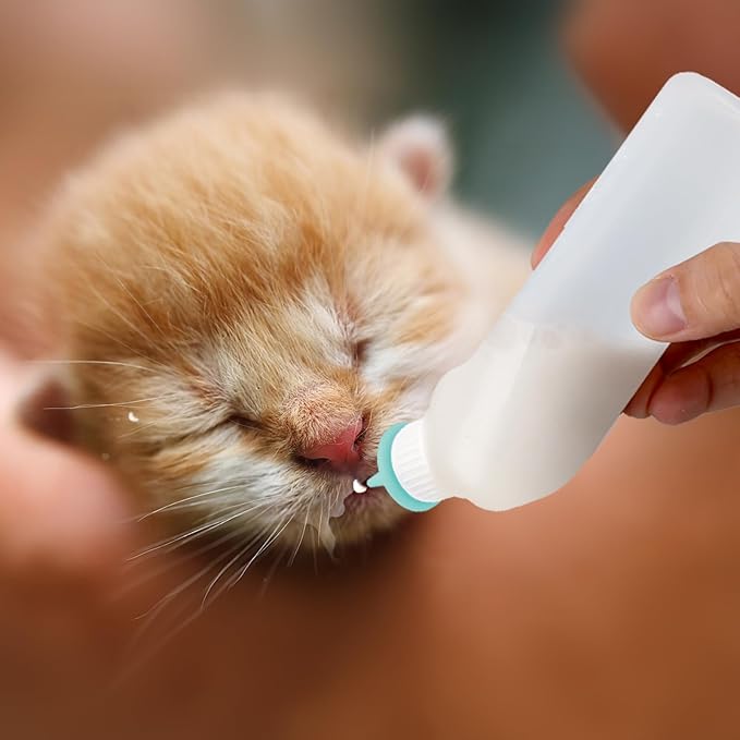 5Pack Kitten Bottle for Nursing Puppy Milk Kitten Bottles Feeding Kit Silicone Nipple for Newborn Pets Kittens, Puppy,Squirrel (Green)