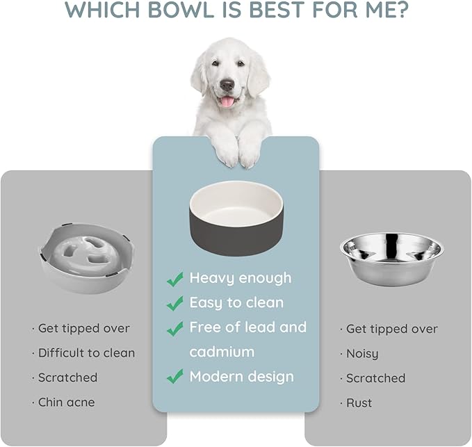 SPUNKYJUNKY 28.7OZ Ceramic Dog and Cat Bowl, Modern Cute Weighted Food Water Bowl for Replacement White-Grey (2 Pack)