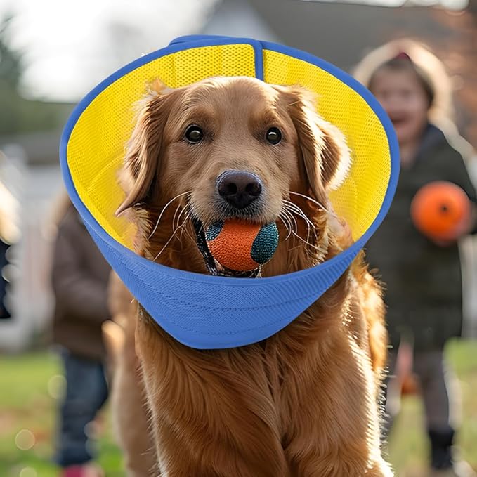 Inspack Soft Dog Cone Collar Alternative, E Cones for Small Dogs/Cat/Puppy to Stop Licking after Surgery, Comfortable All Paws Comfy Elizabethan Collars, Neuter Recovery Ecollars of Shame Alternatives