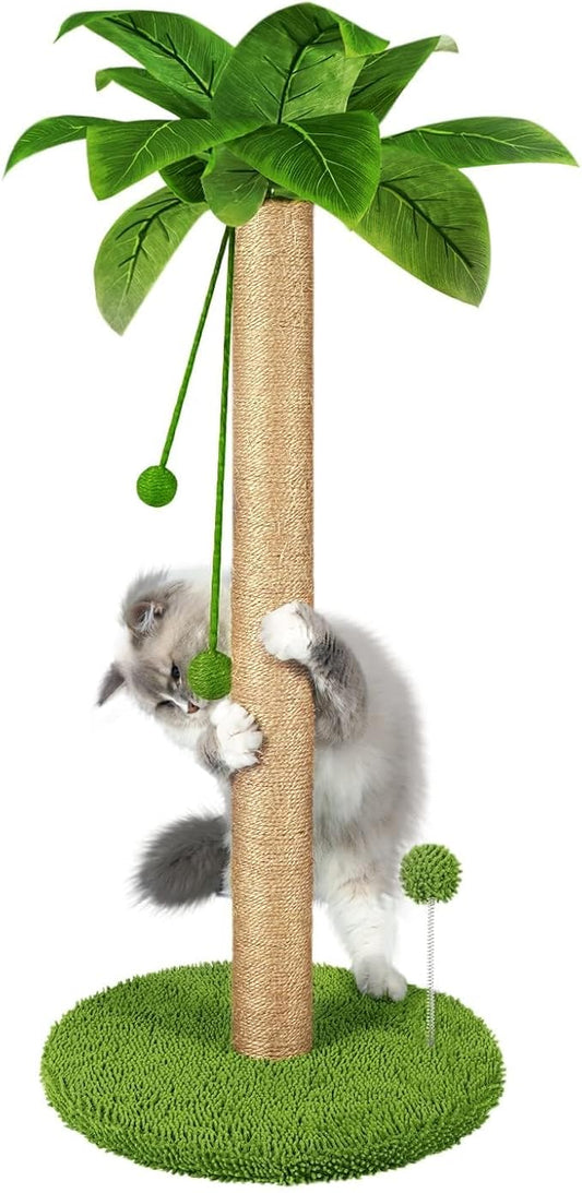 Dohump Cat Scratching Post, 31" Tall Scratch Tree with Premium Sisal Rope, Two Interactive Dangling Balls and Spring Ball Toys for Indoor Kittens and Cats