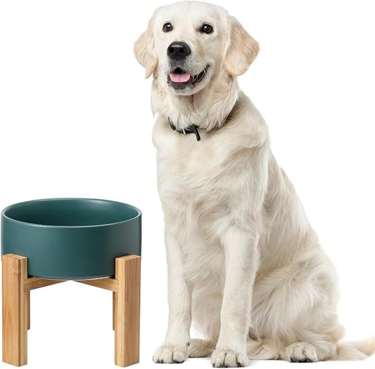 Elevated Ceramic Large Dog Bowl - Raised Dog Dish with Bamboo Stand - Heavy Weighted, No Tip Over, Comfortable Eating - 8.4" Diameter - 4.5 Cups - 68 fl oz - Green