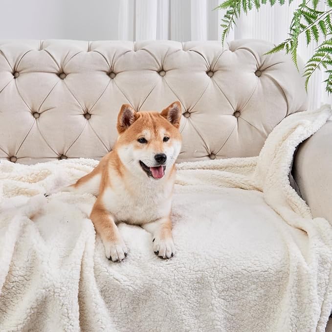 Qeils Dog Blankets for Small Dogs - Waterproof Cat Blanket Washable - Sherpa Fleece Puppy Blanket, Soft Plush Reversible Throw Protector for Bed Couch Car Sofa, 40"X50", Grey