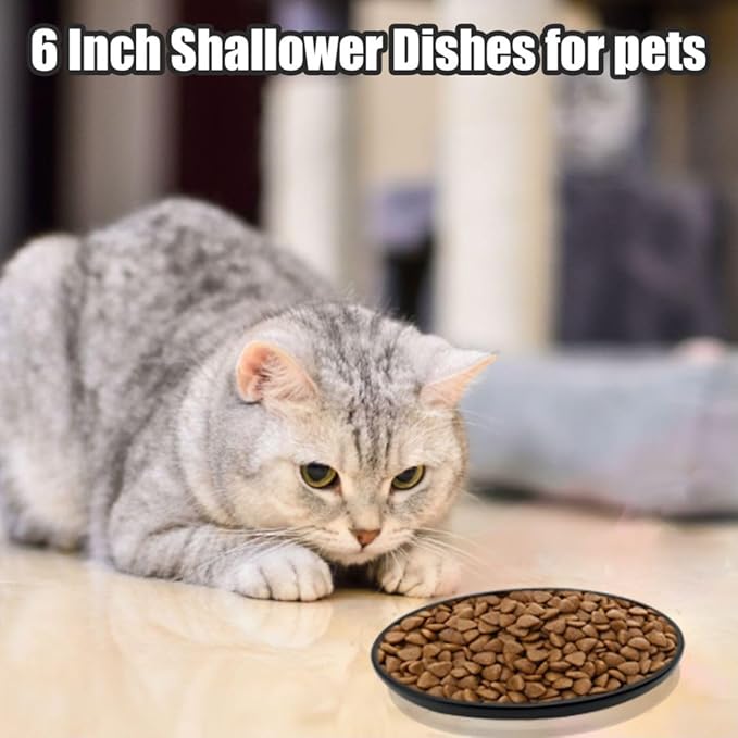 Fhiny 3PCS Ceramic Shallow Cat Dish, 6 Inch Whisker Fatigue Free Cat Feeder Bowls Food Saucer Single Pet Plate Great for Kitten Kitty Flat Faced Short Legged Cat Dishwasher Safe